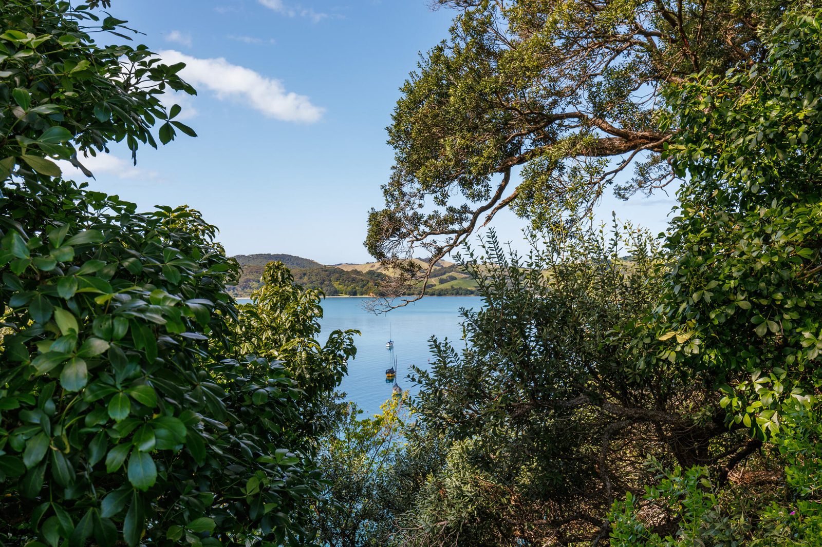 12 Pohutukawa Avenue, Omiha, photo 14