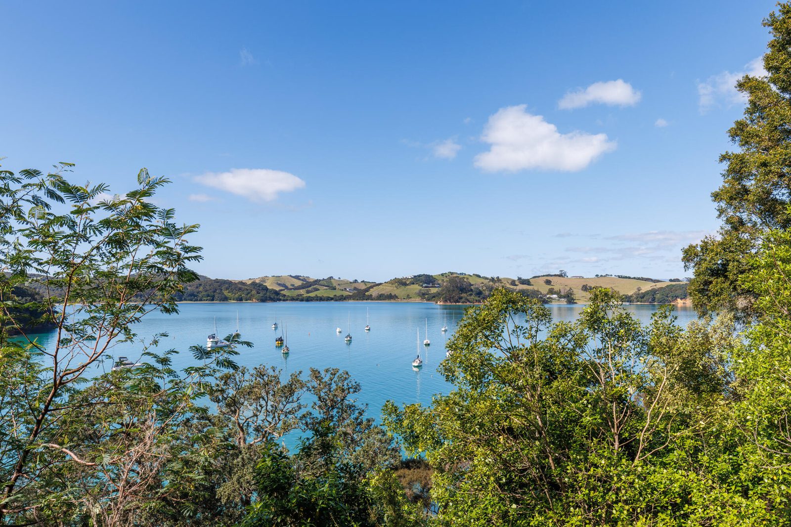 12 Pohutukawa Avenue, Omiha, photo 15