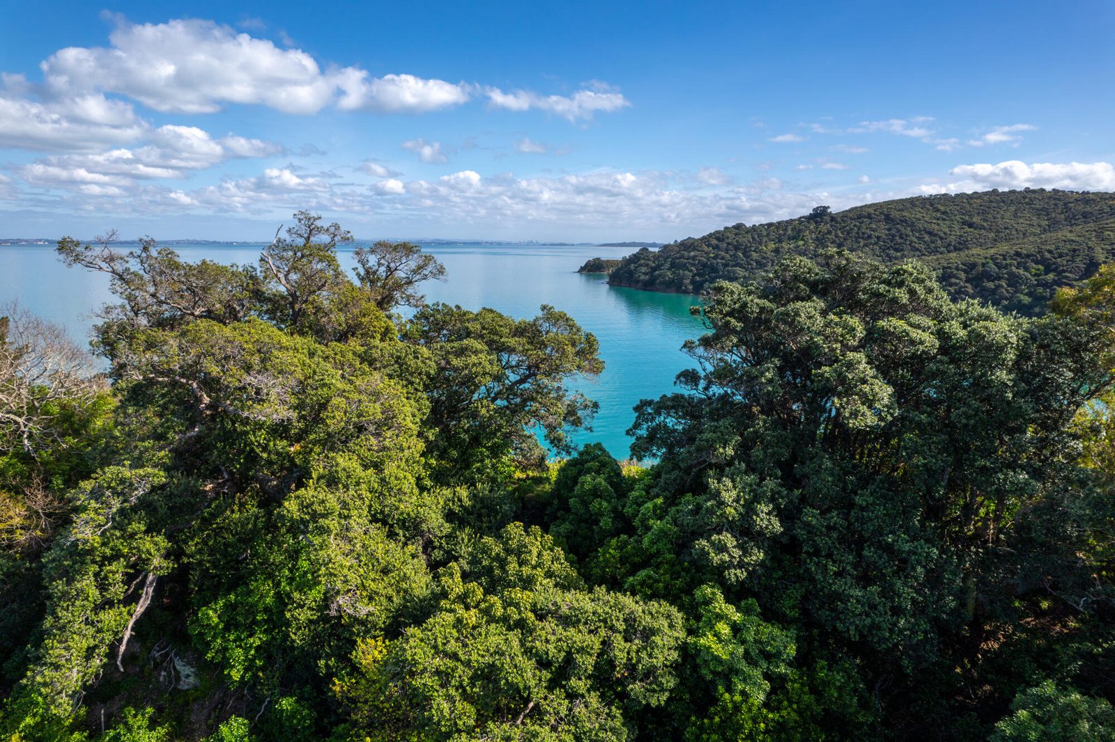 12 Pohutukawa Avenue, Omiha, photo 16