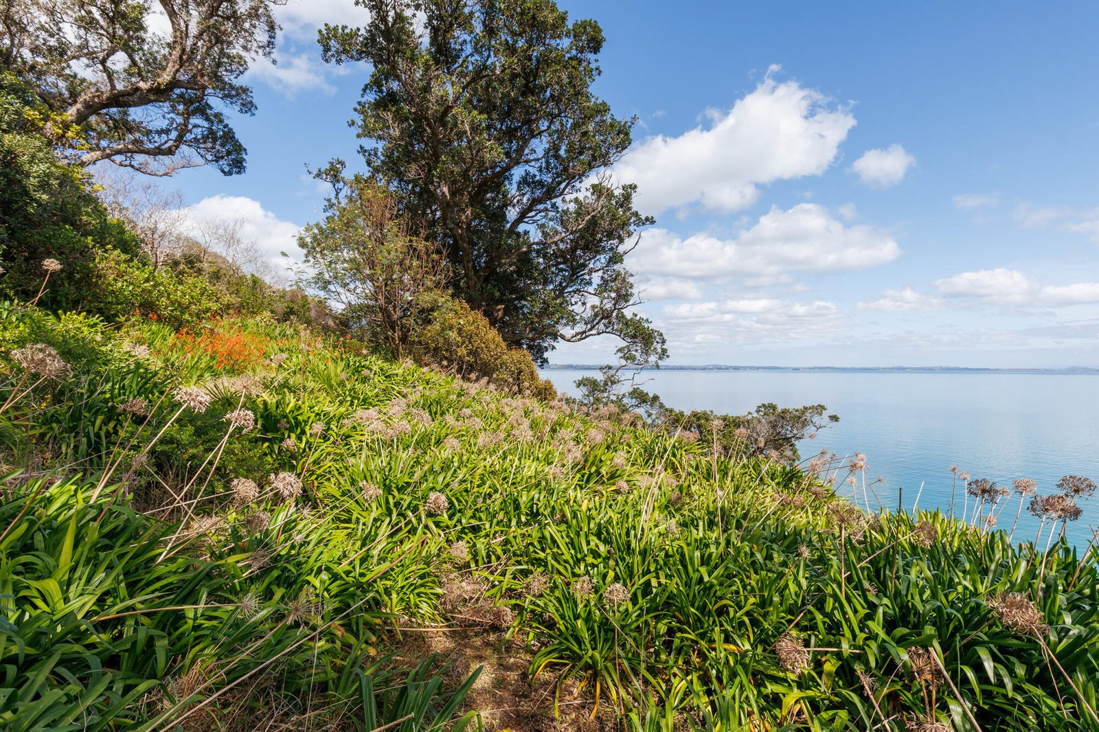 12 Pohutukawa Avenue, Omiha, photo 9