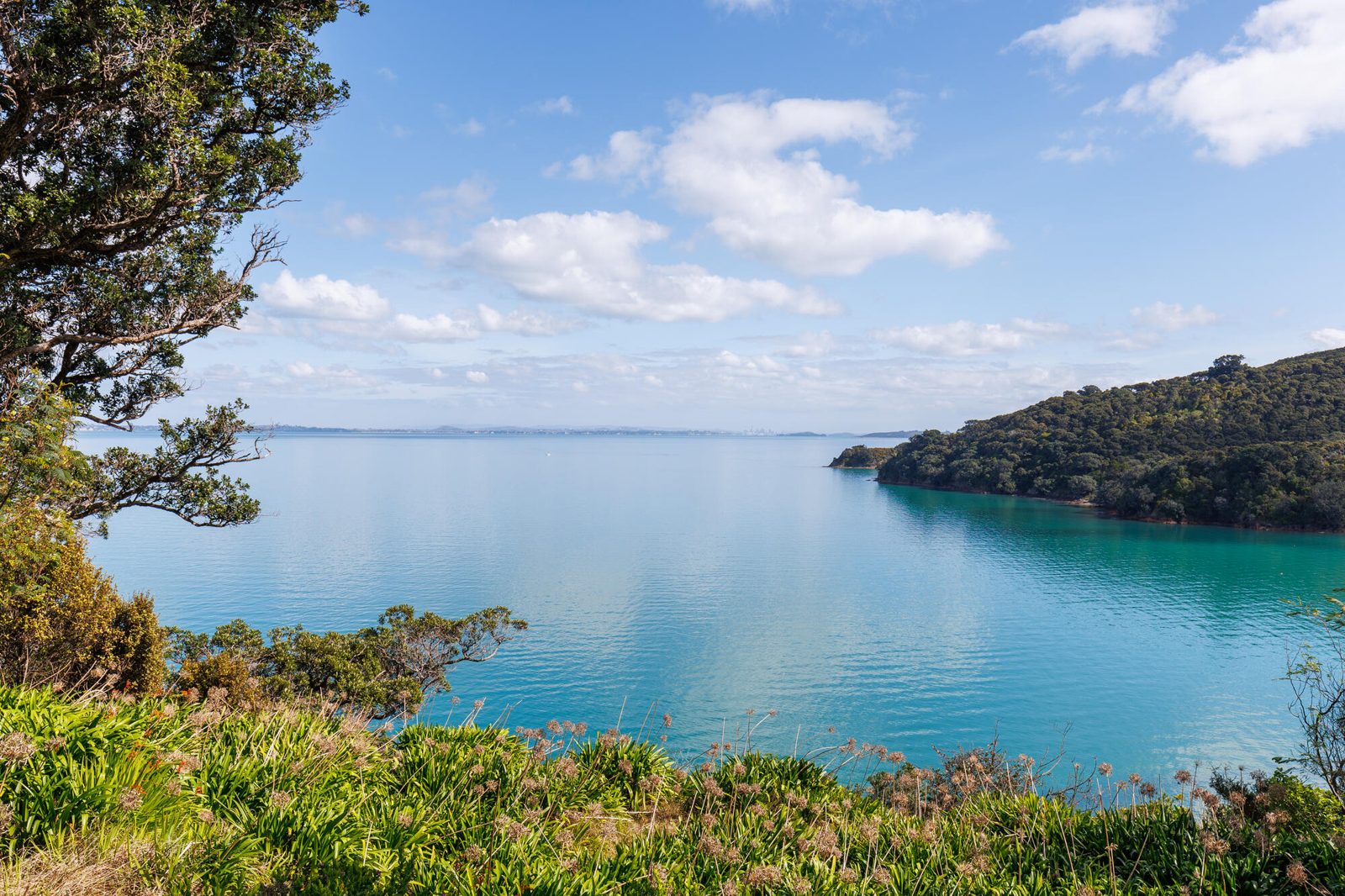 12 Pohutukawa Avenue, Omiha, photo 10