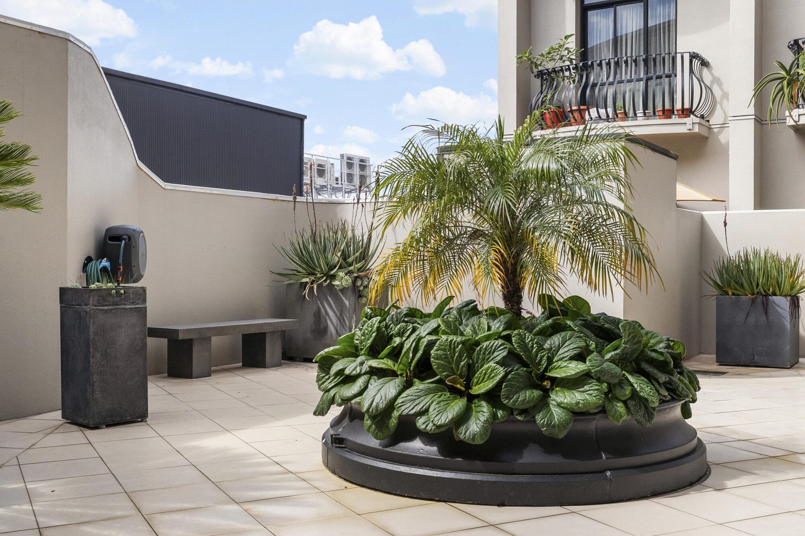 3B/6 Burgoyne Street, Grey Lynn, photo 7