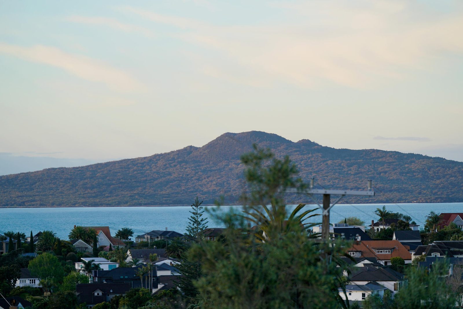 64 Codrington Crescent, Mission Bay, photo 5