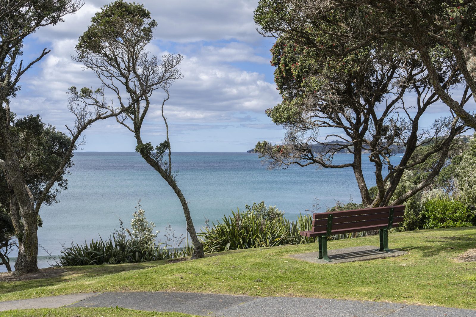 5 Anehana Place, Stanmore Bay, photo 17