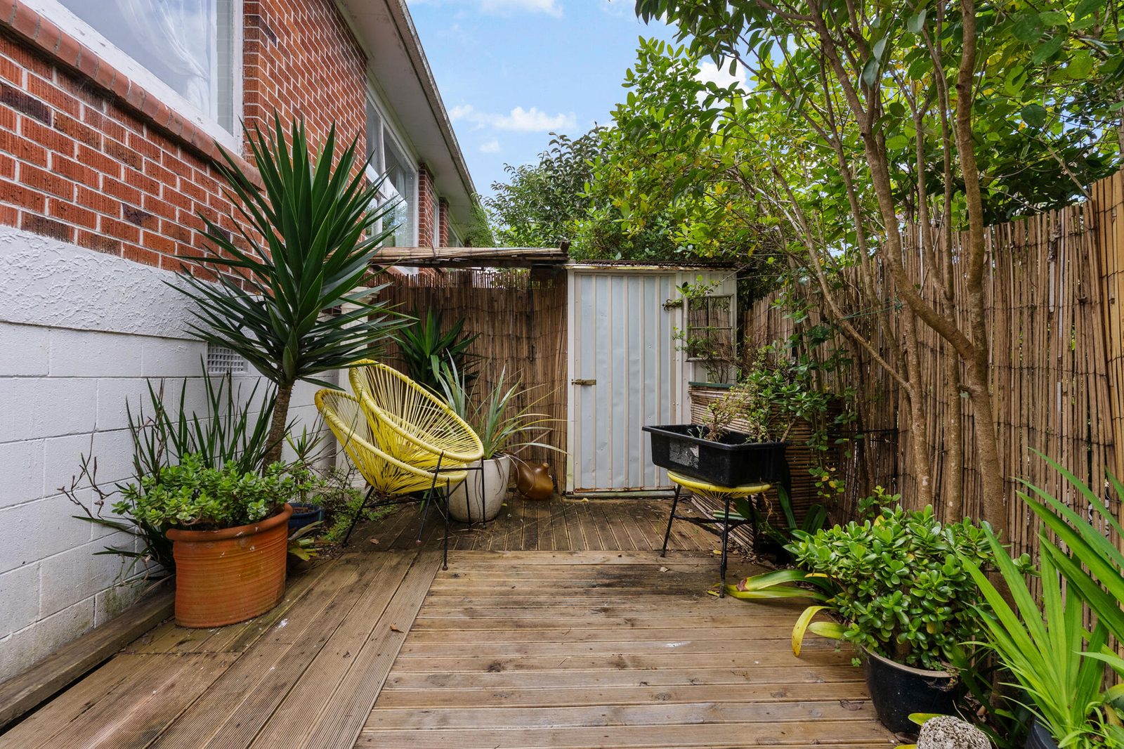 44 Felton Mathew Avenue, Saint Johns, photo 11