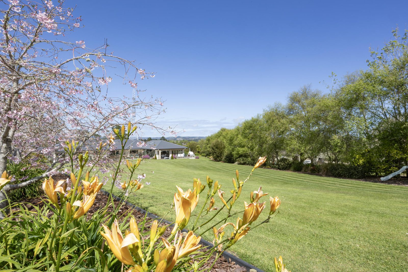 35 Terry Smyth Drive, Kumeu, photo 5