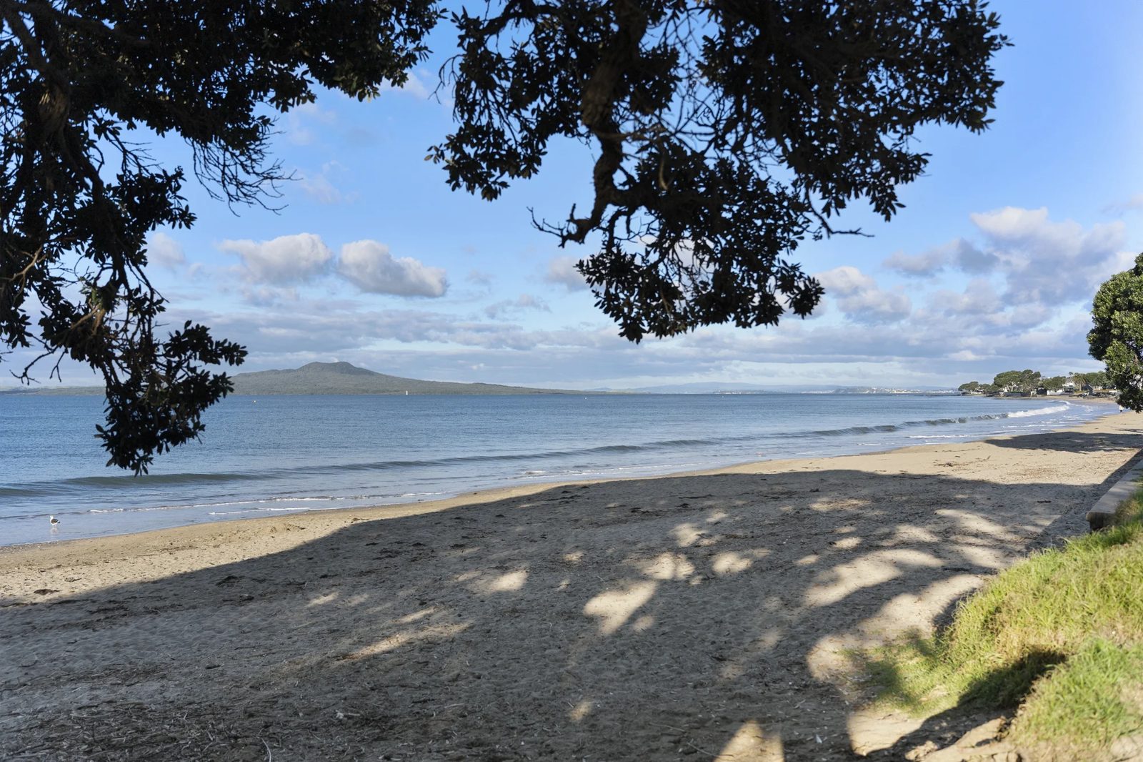 16B Rangitoto Terrace, Milford, photo 11