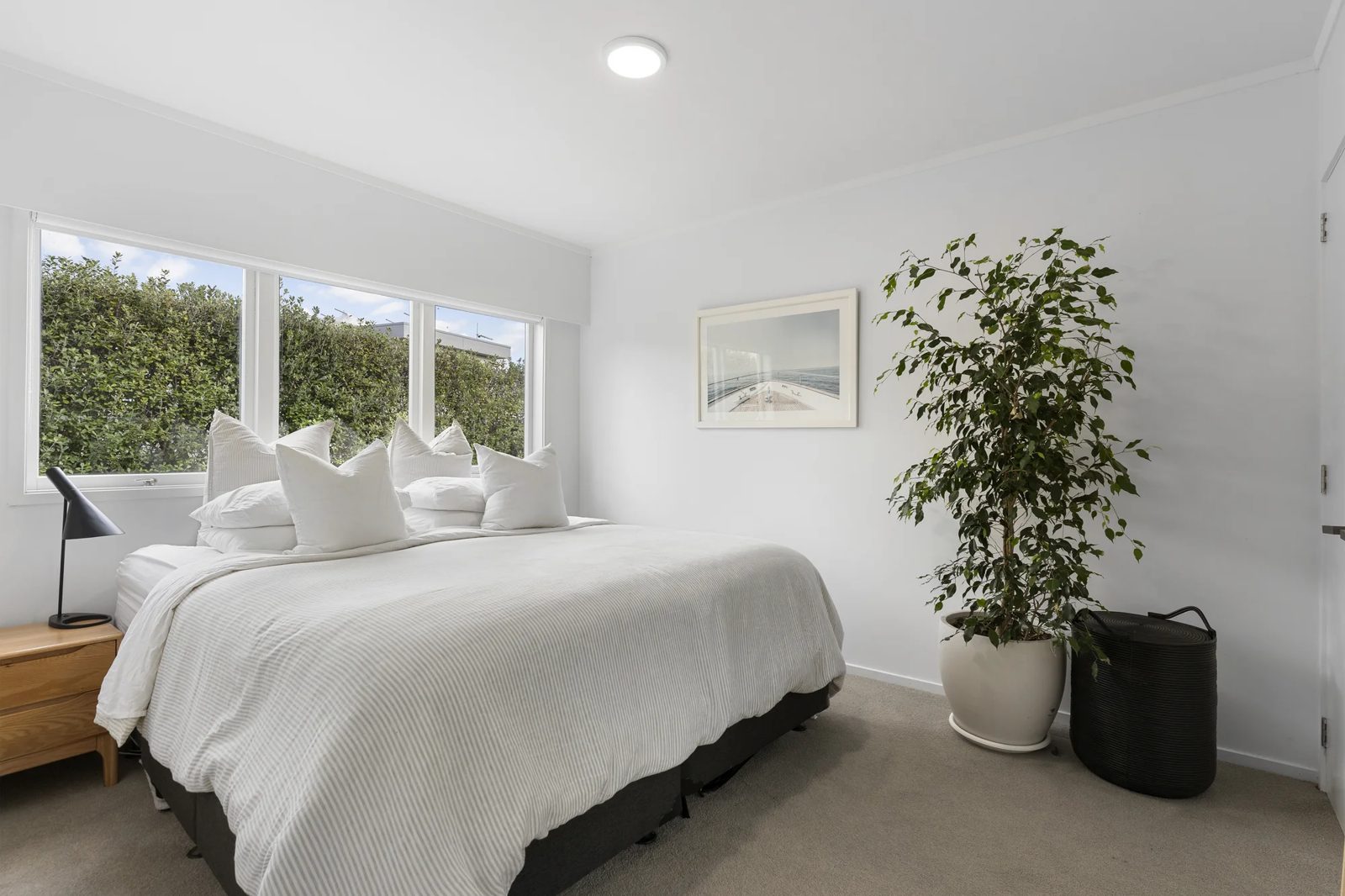 16B Rangitoto Terrace, Milford, photo 4