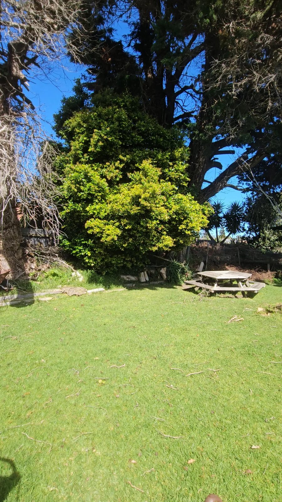 地址保密, Ranui, photo 4
