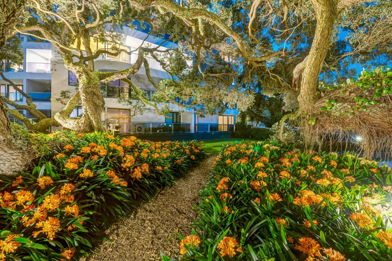2C/5 The Promenade, Takapuna, photo 19
