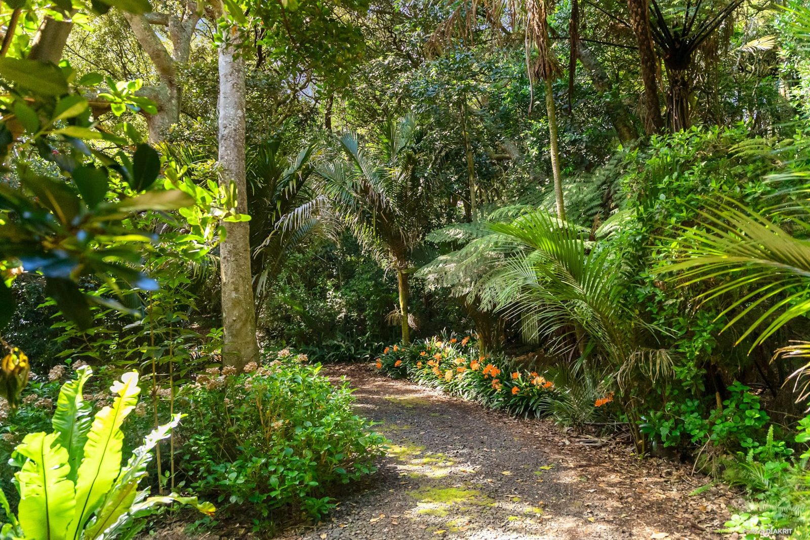 399 Bothwell Park Road, Waiuku, photo 9