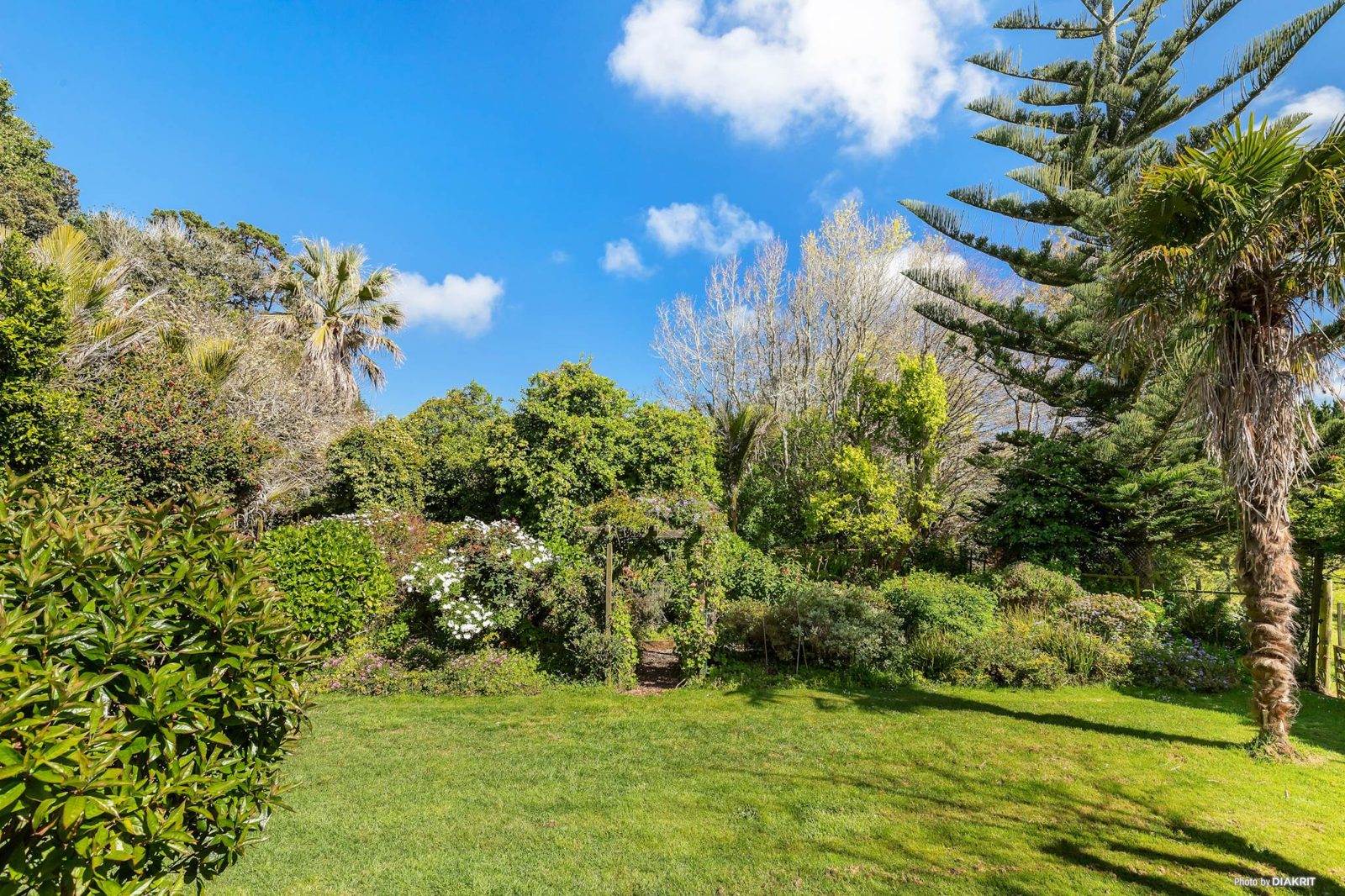 399 Bothwell Park Road, Waiuku, photo 10