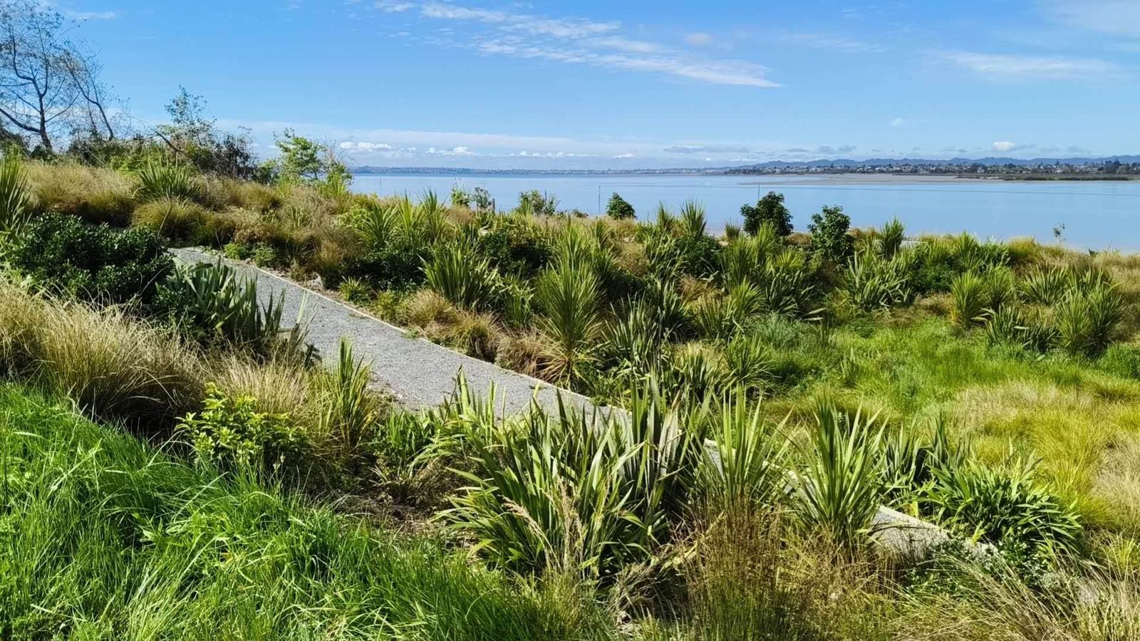 13 Sails Road, Hobsonville, photo 7