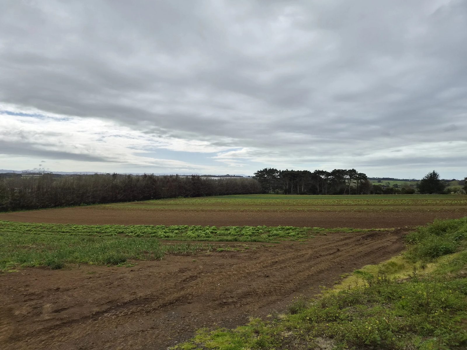 1120I Waiuku Road, Waiuku, photo 3