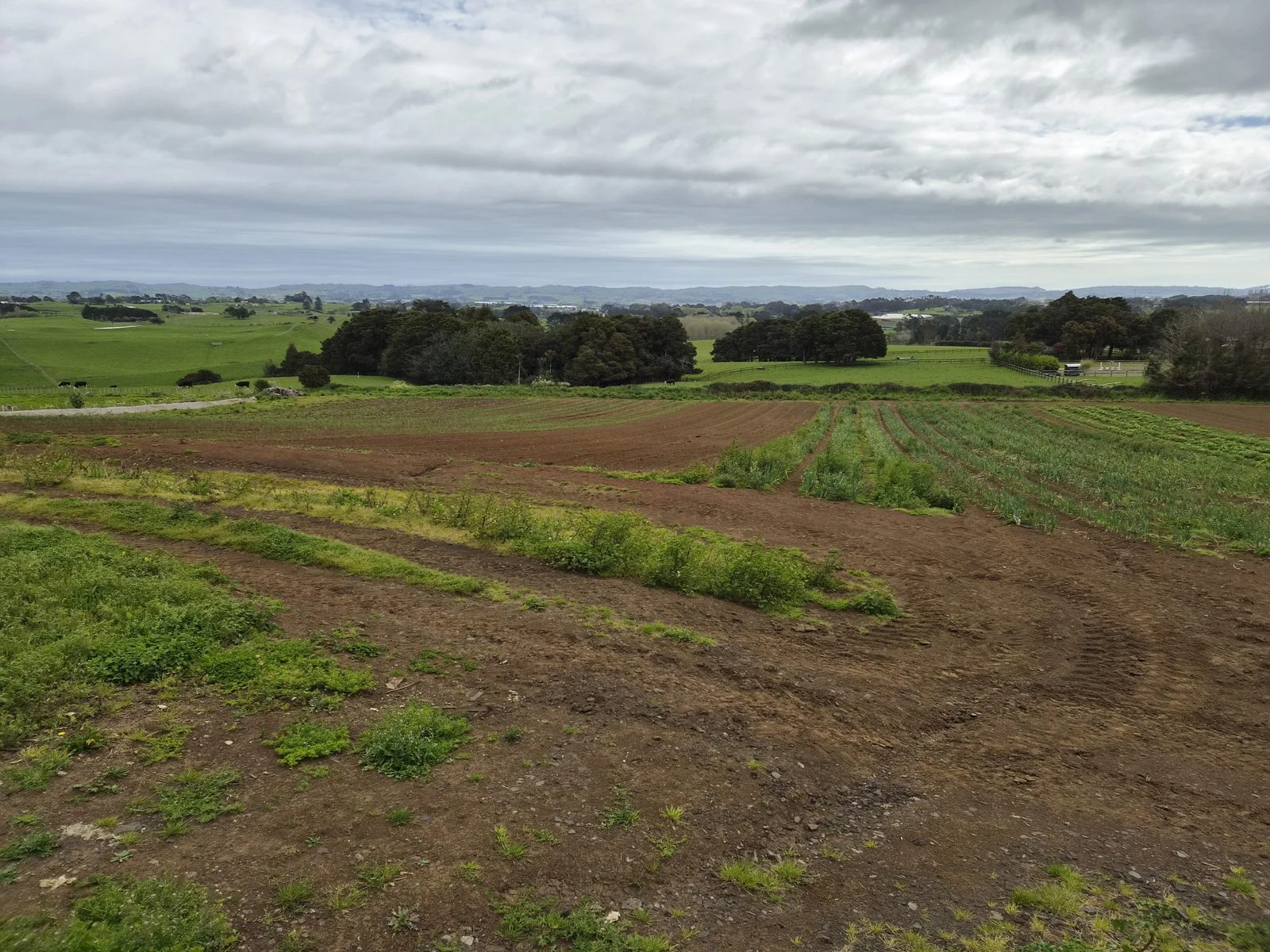1120I Waiuku Road, Waiuku, photo 4