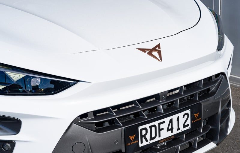 2025 Cupra Terramar VZ 2.0 Petrol Turbo 195kW, photo 2