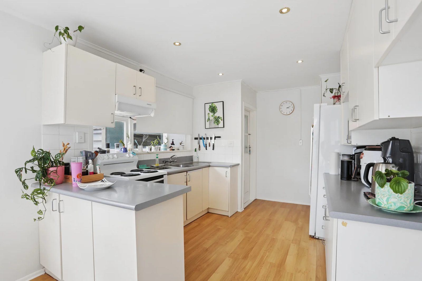 3 Shoreham Street, Avondale, photo 8