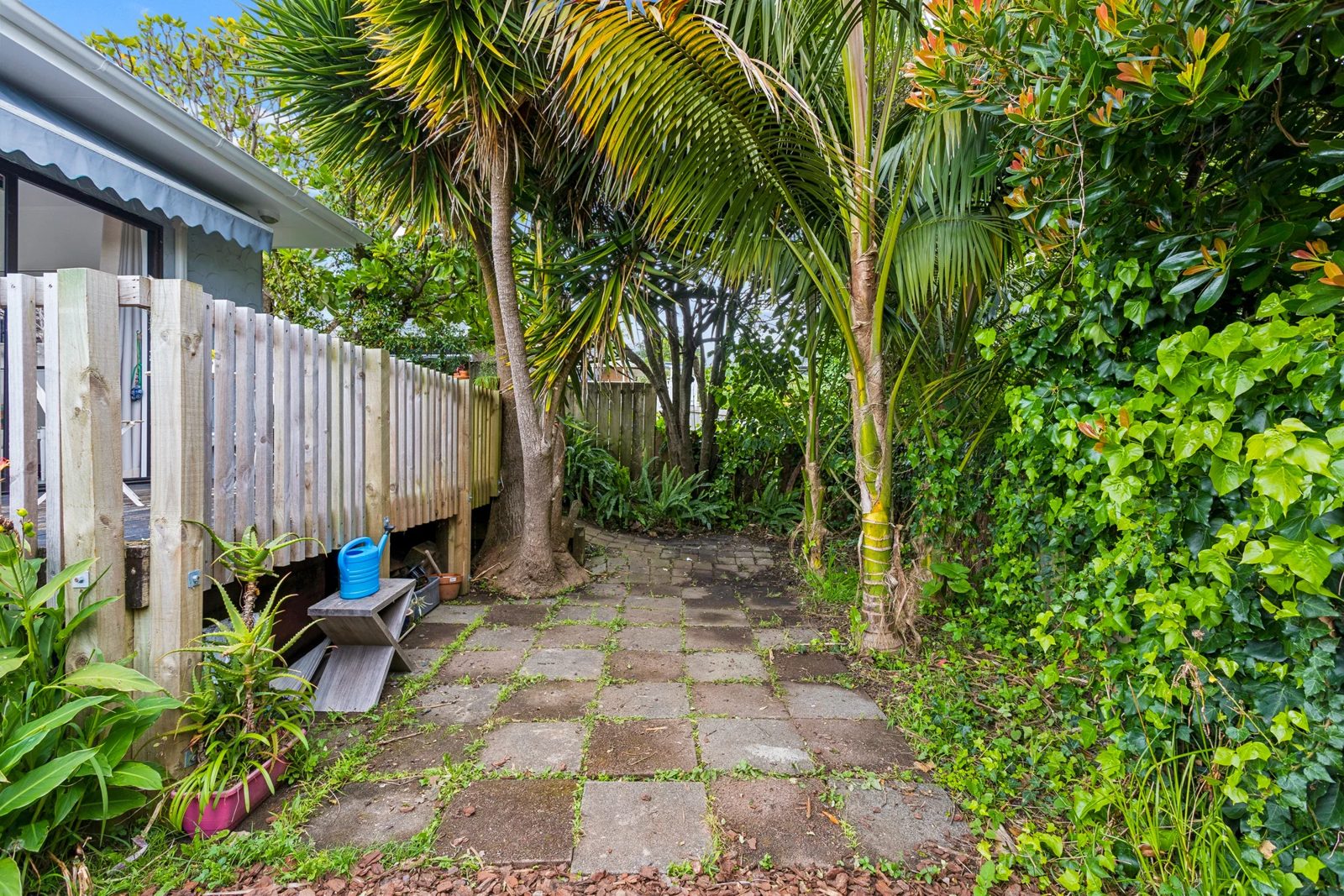 3/38 Koromiko Street, New Lynn, photo 20