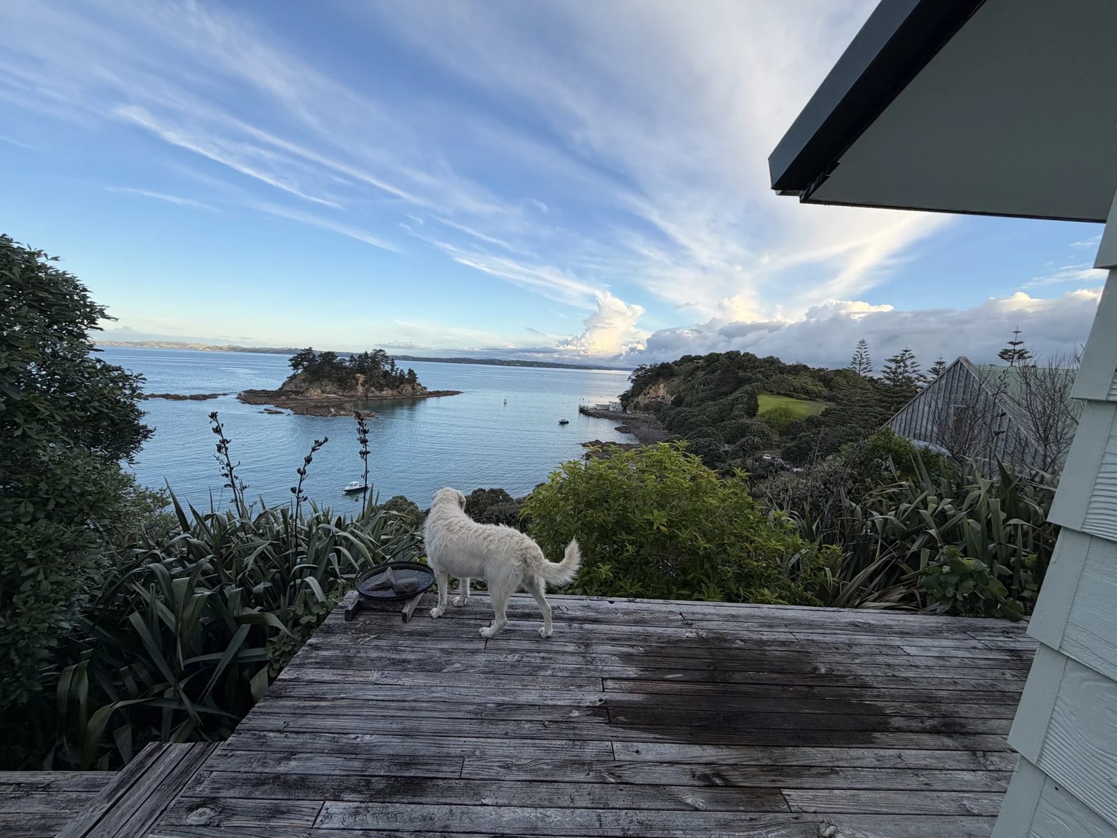18 South Pacific Road, Rakino Island, photo 11