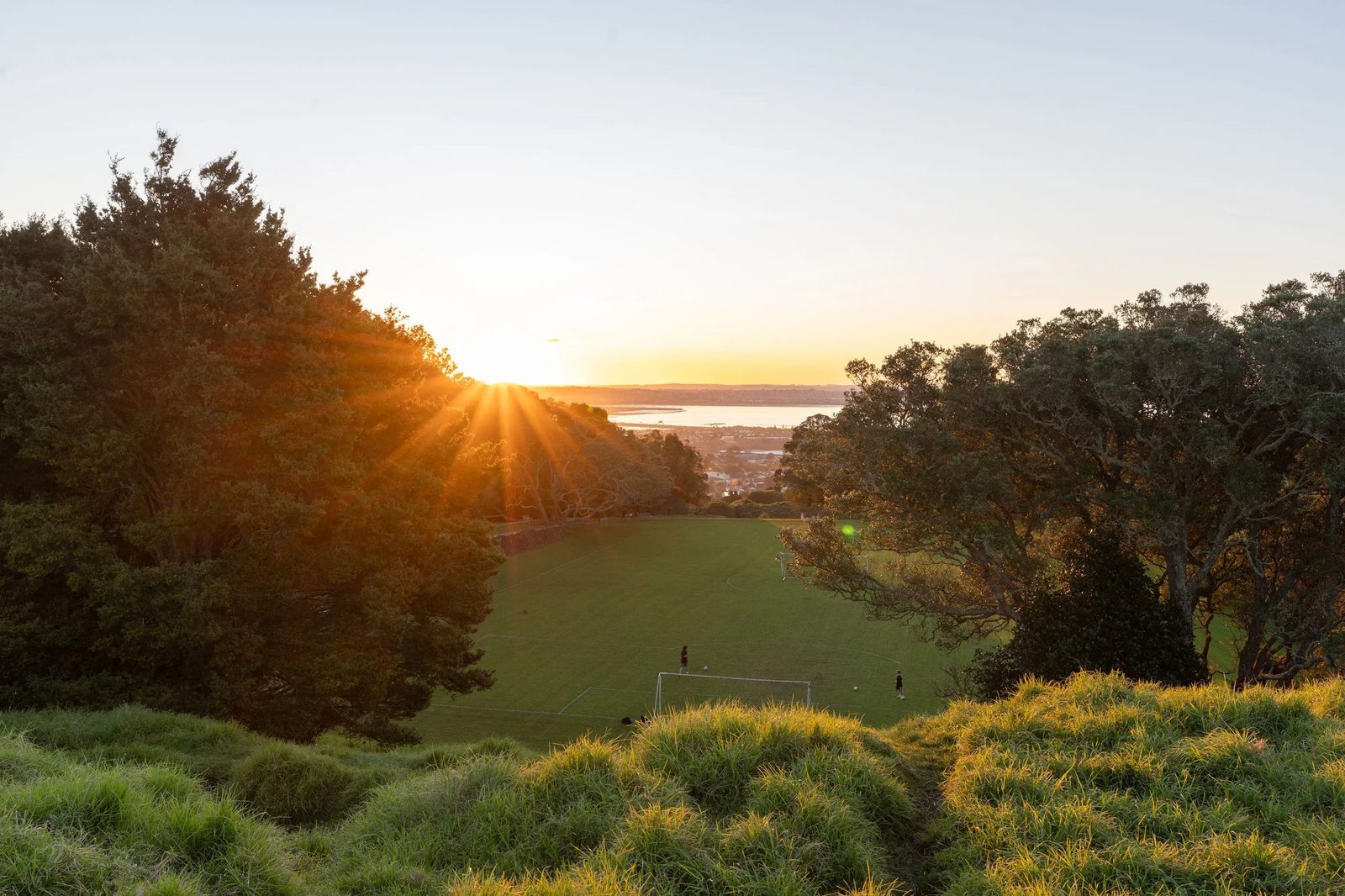 17 Hargest Terrace, Mount Albert, photo 19