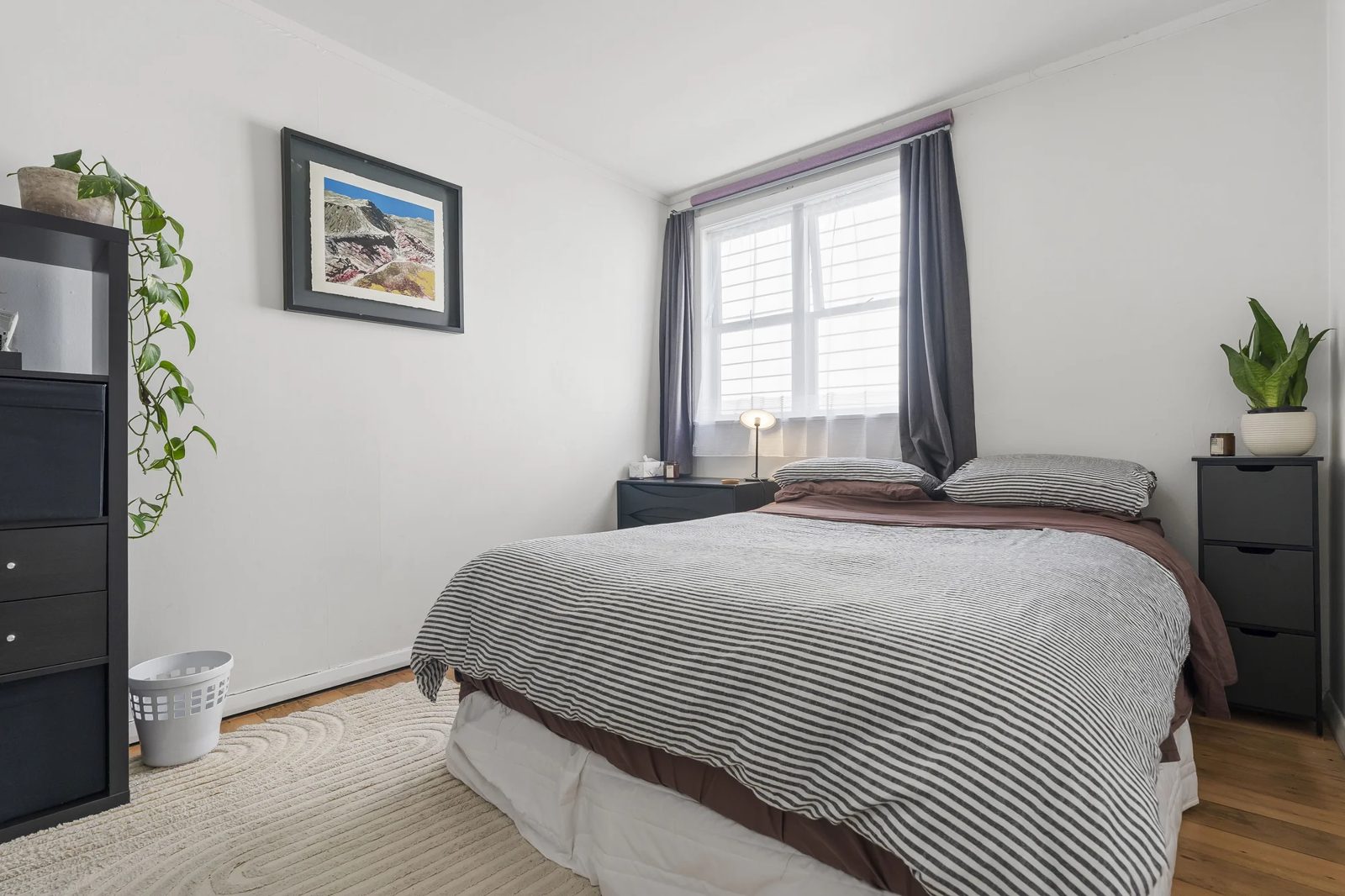 4 Northland Street, Grey Lynn, photo 16