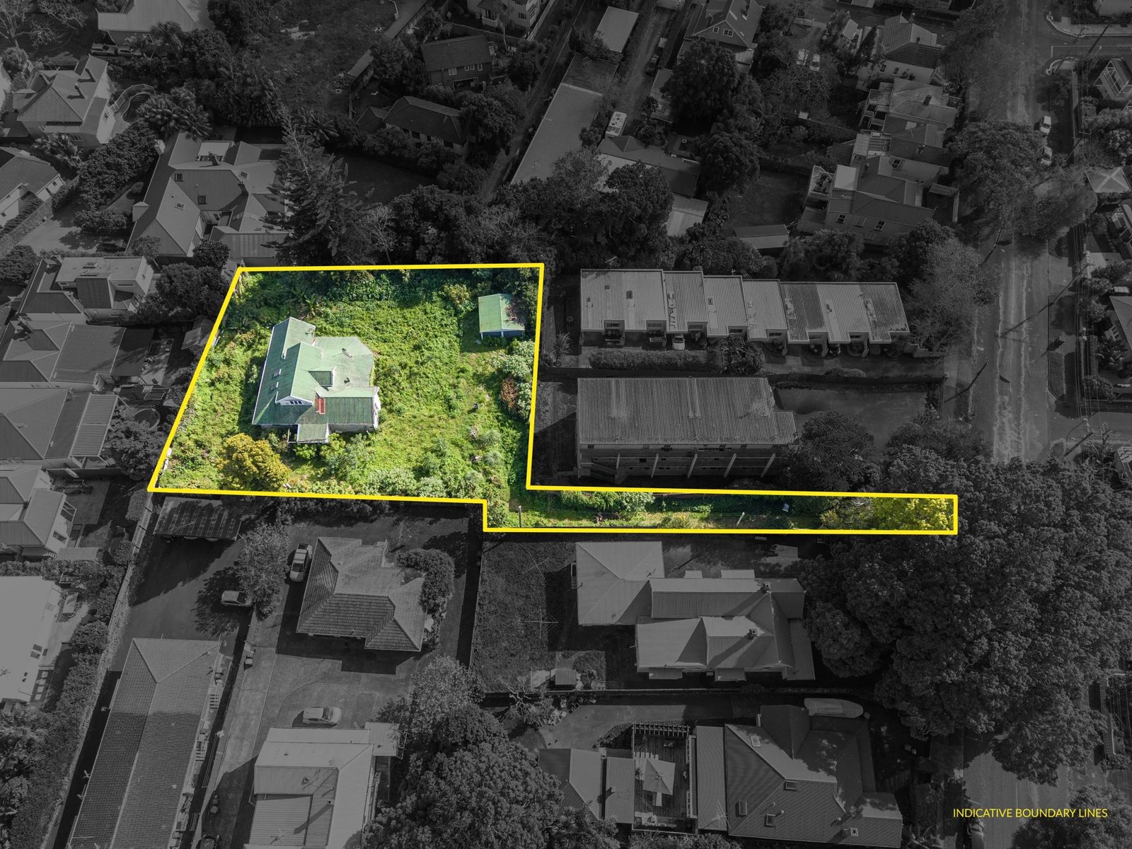49 Wynyard Road, Mount Eden, photo 4