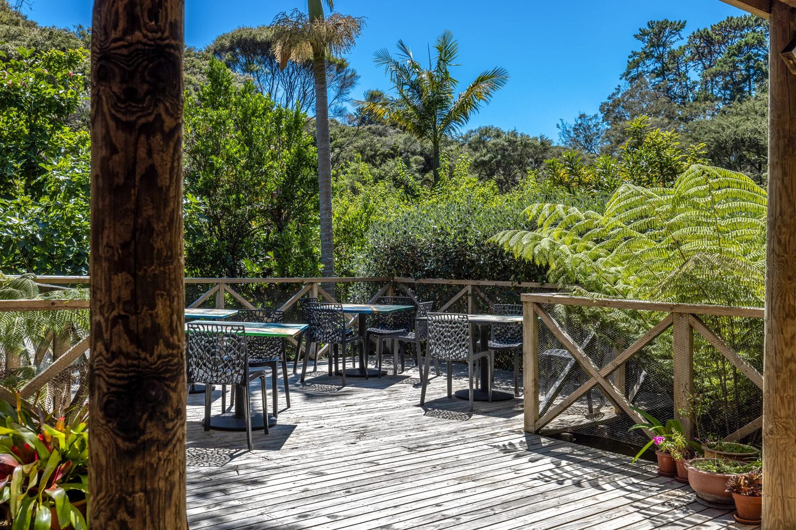 223 Ocean View Road, Oneroa, photo 5