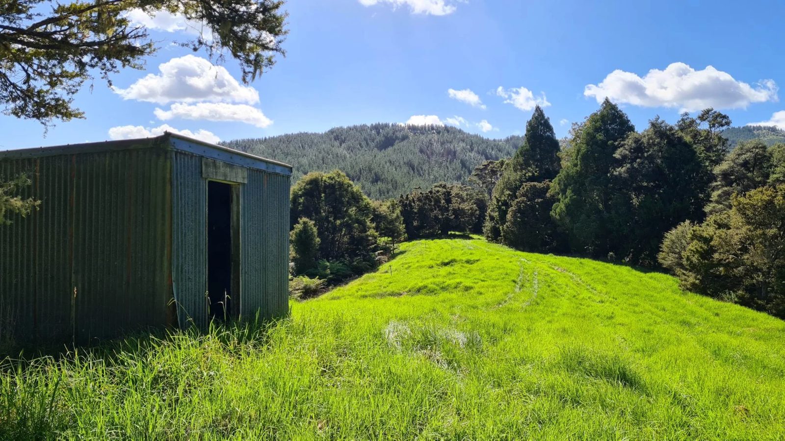 297A Wilson Road, Wellsford, photo 7