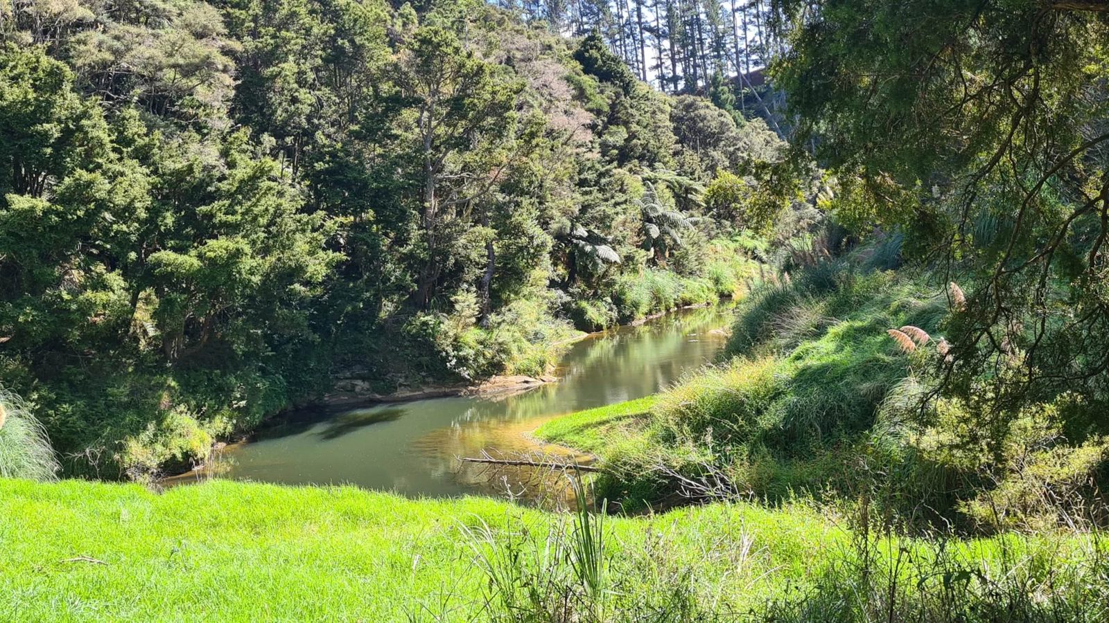 297A Wilson Road, Wellsford, photo 8