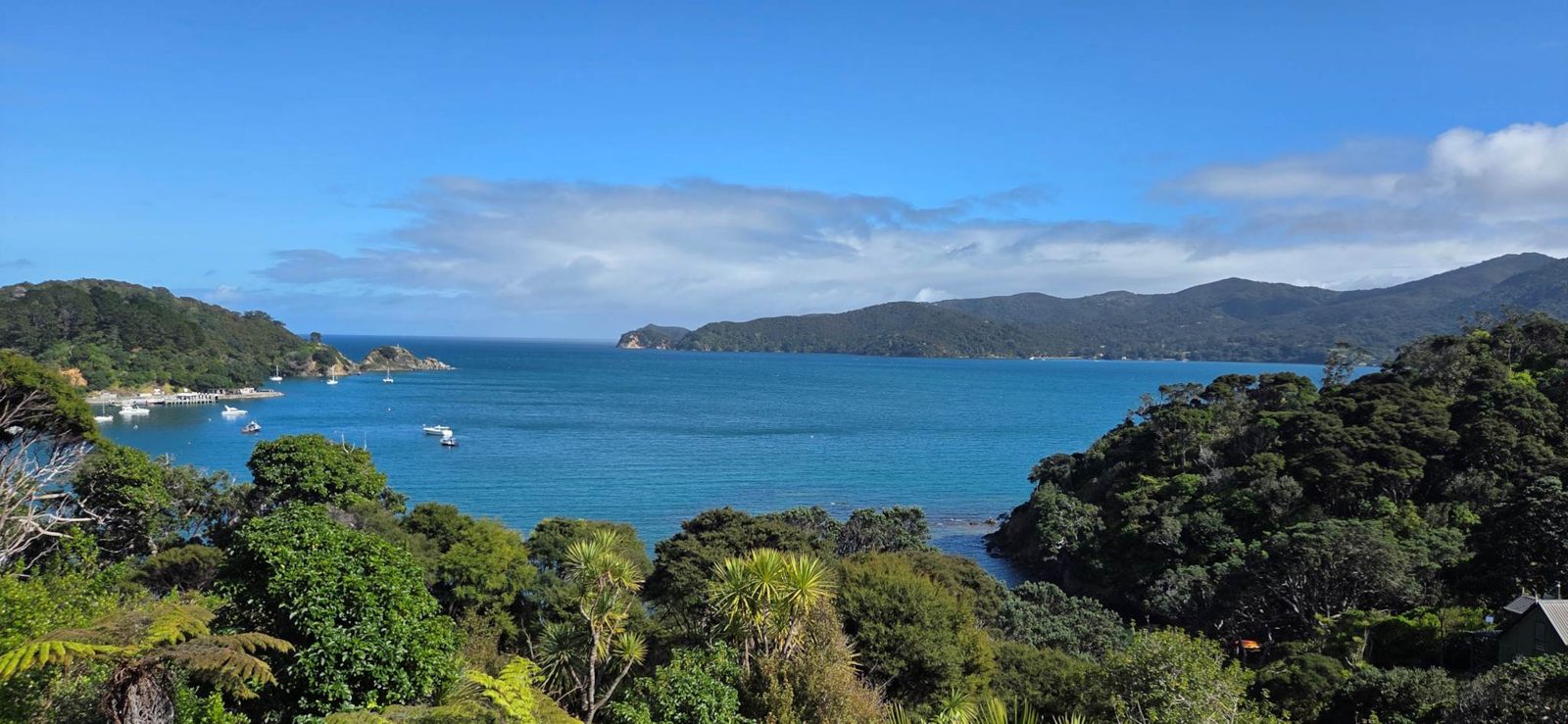 152 Shoal Bay Road, Great Barrier Island, photo 14