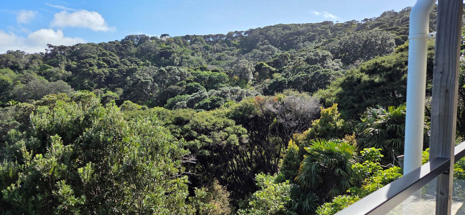 152 Shoal Bay Road, Great Barrier Island, photo 15