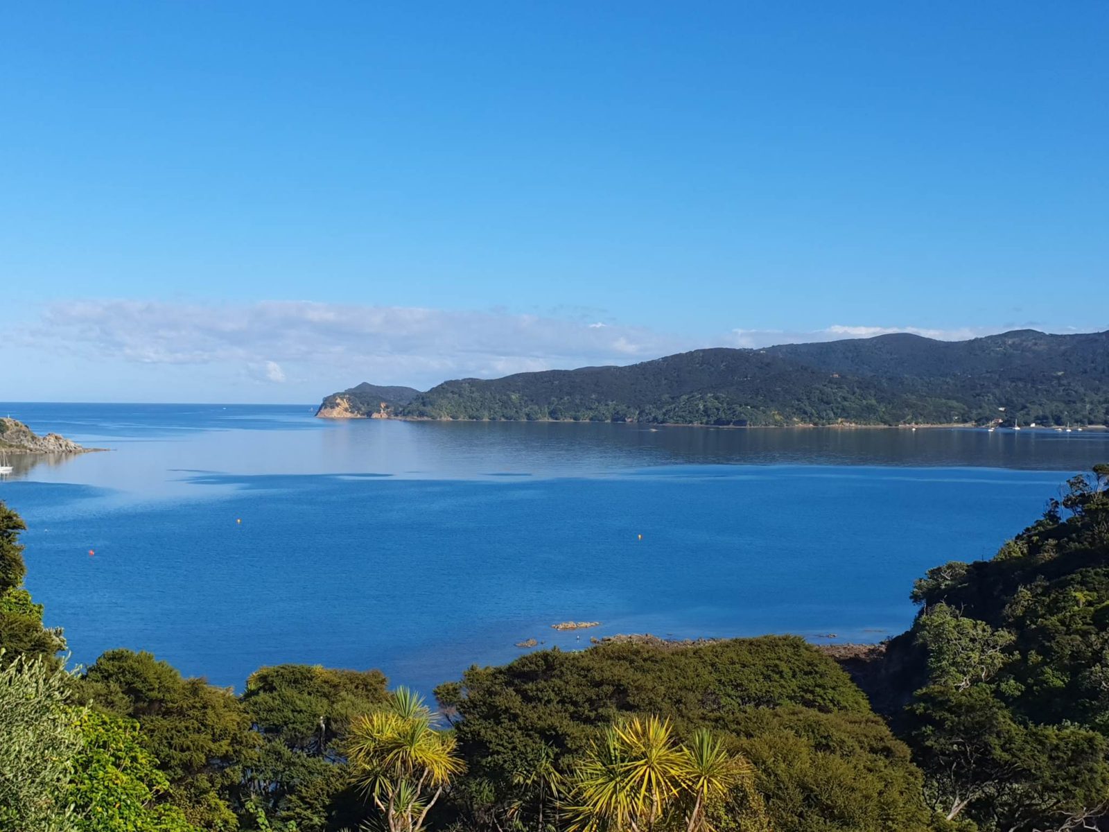 152 Shoal Bay Road, Great Barrier Island, photo 10
