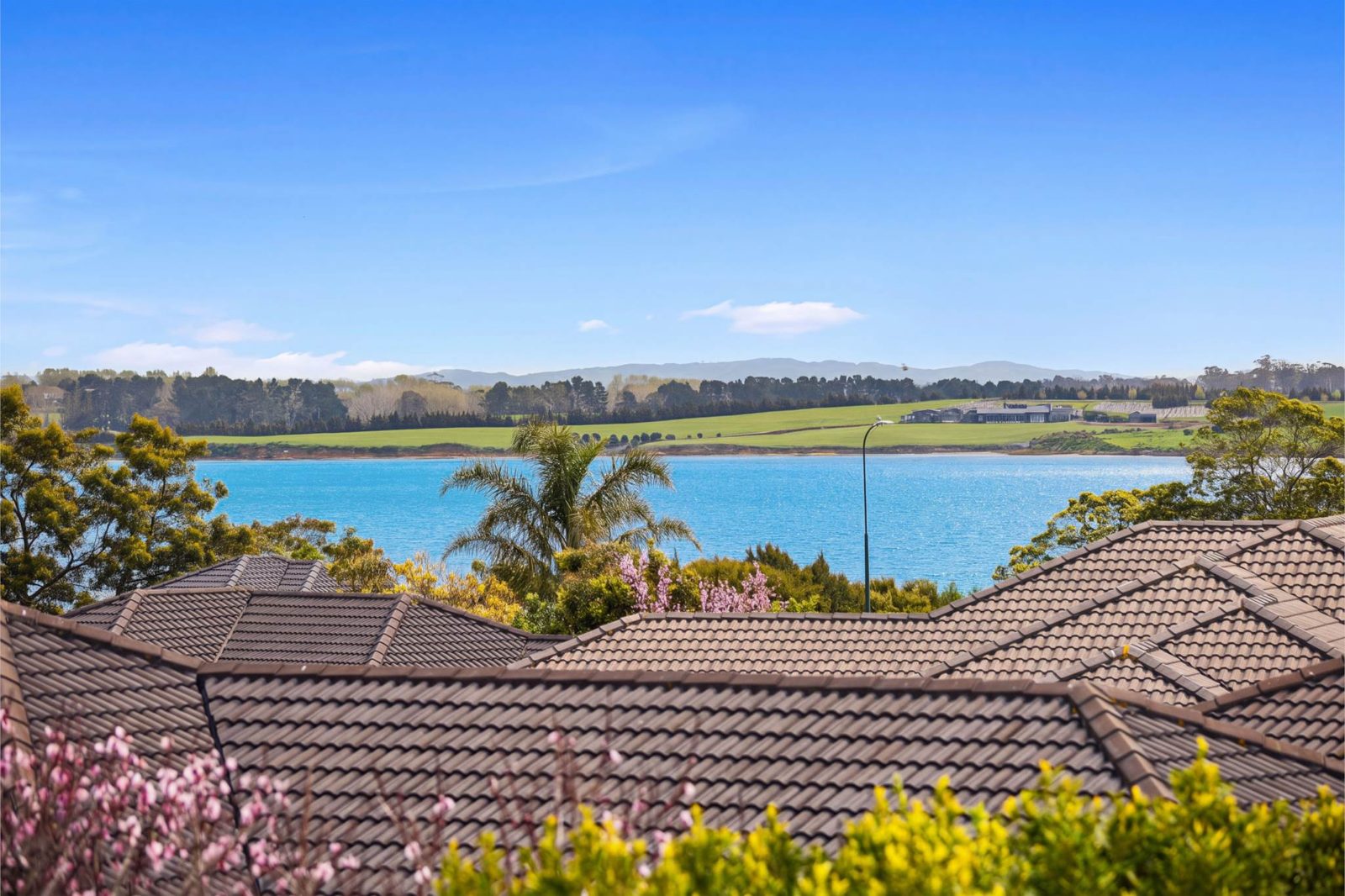 40 Hadley Wood Drive, Wattle Downs, photo 14