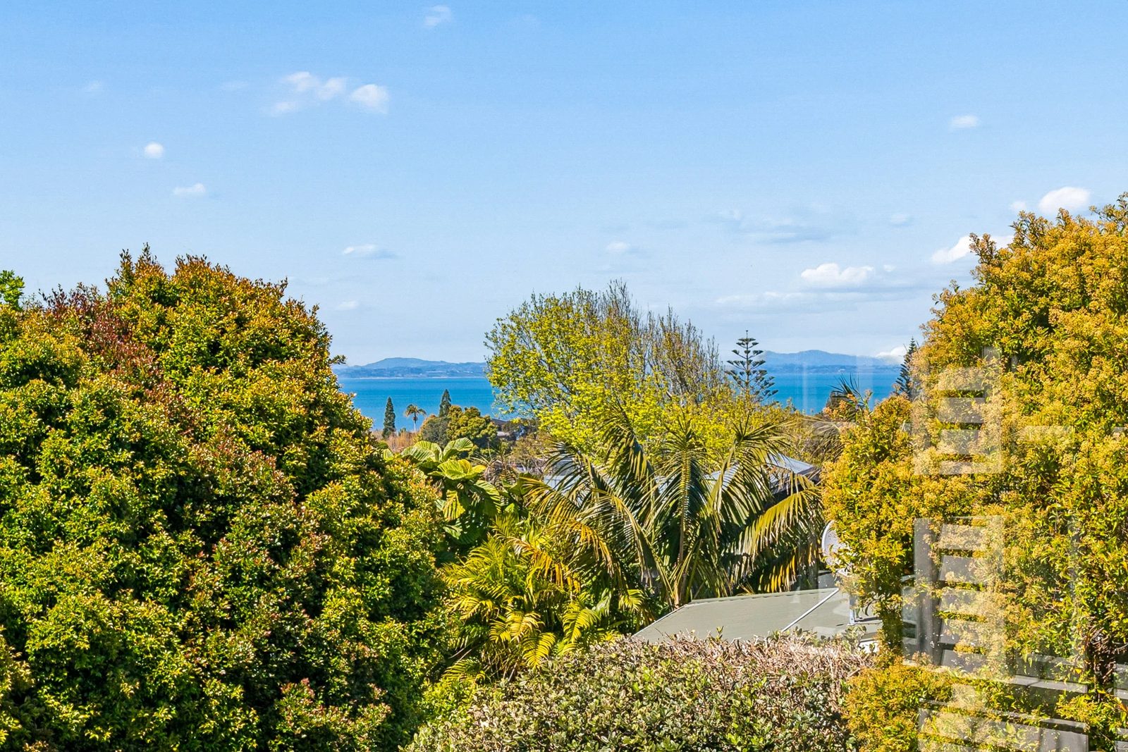 72 Golf Road, New Lynn, photo 8