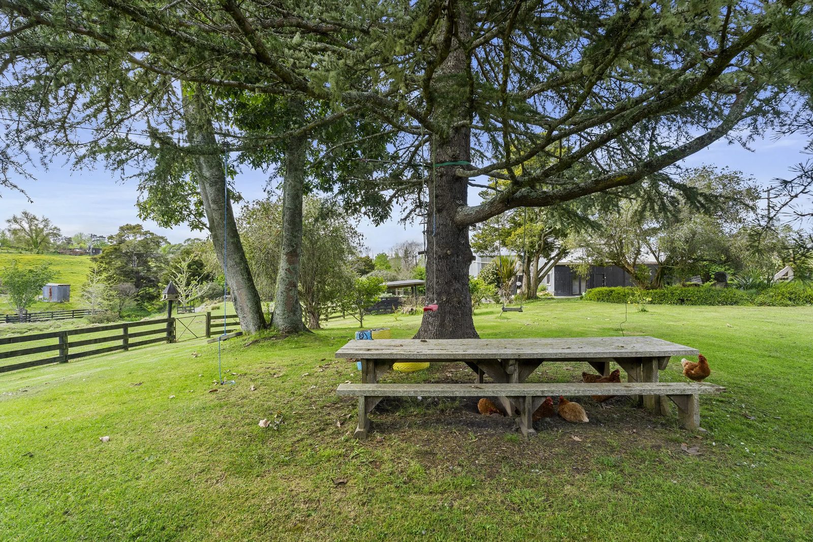 258 Blackbridge Road, Dairy Flat, photo 17