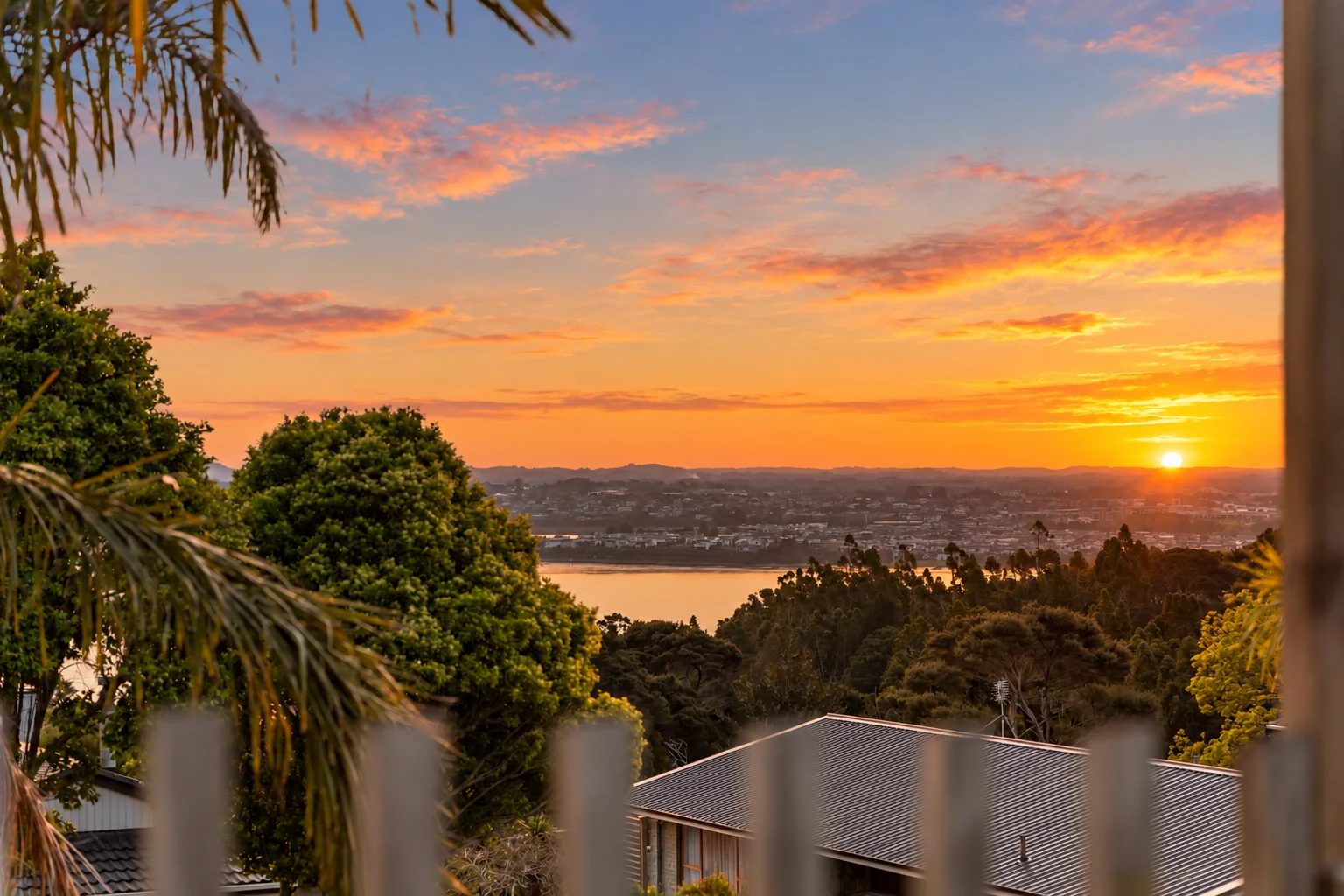 2 Pluto Place, Beach Haven, photo 11