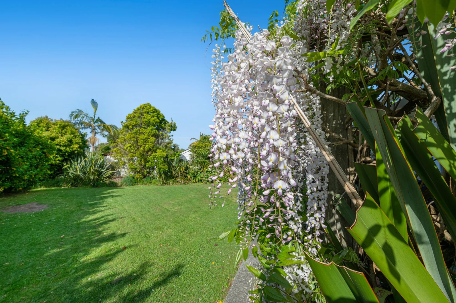 4/19 Montana Avenue, Murrays Bay, photo 18
