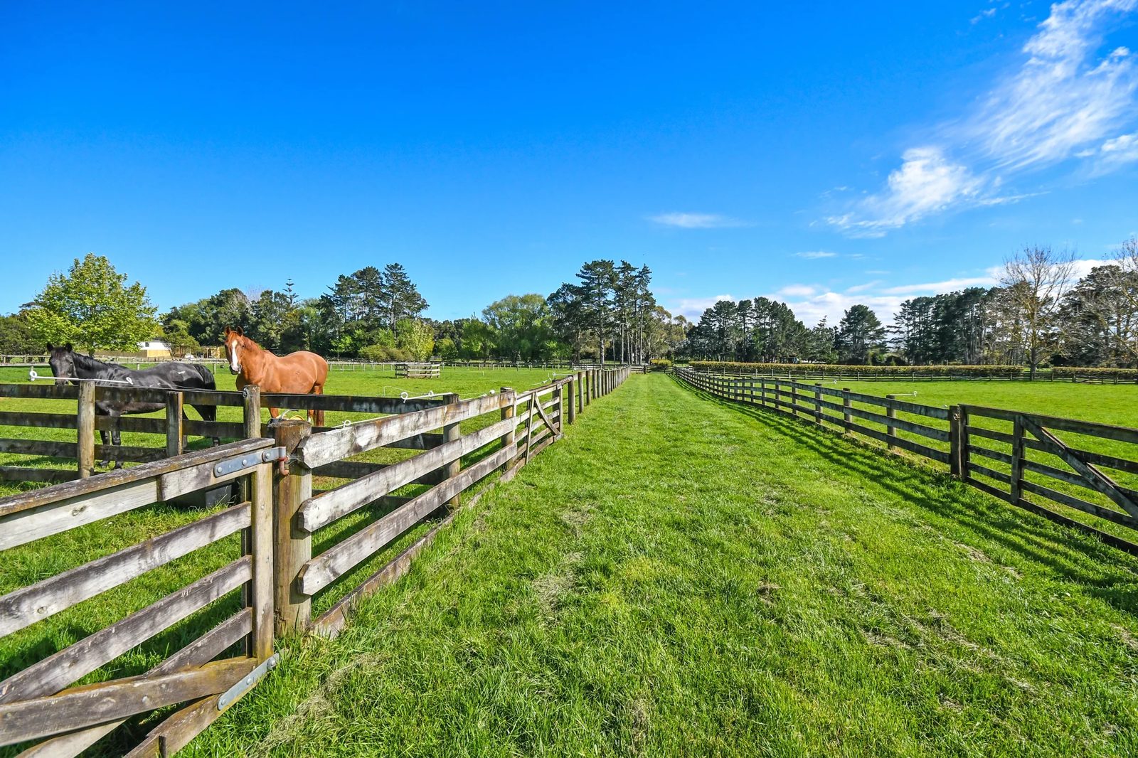 58 Ellett Road, Karaka, photo 17