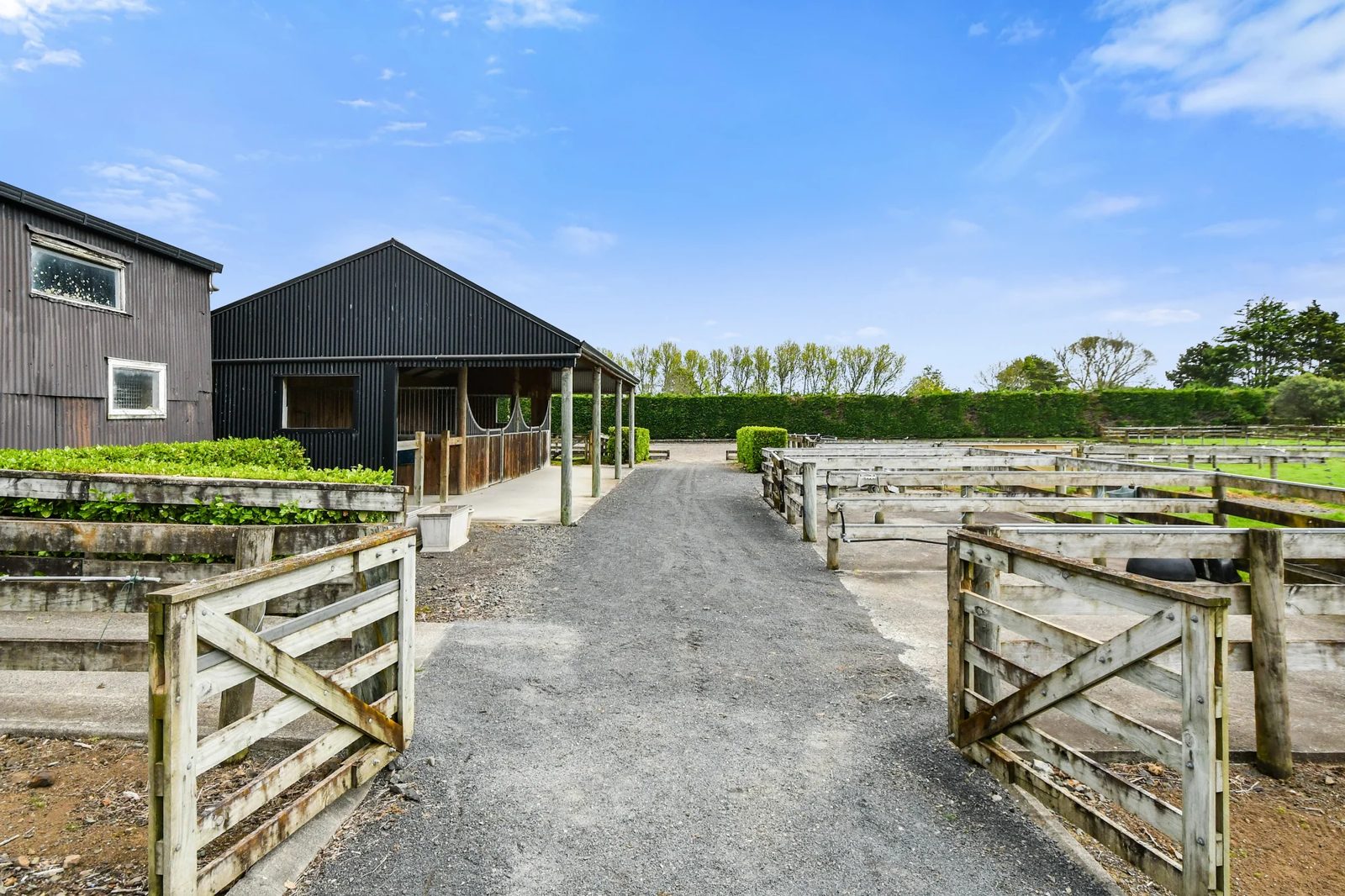 58 Ellett Road, Karaka, photo 6
