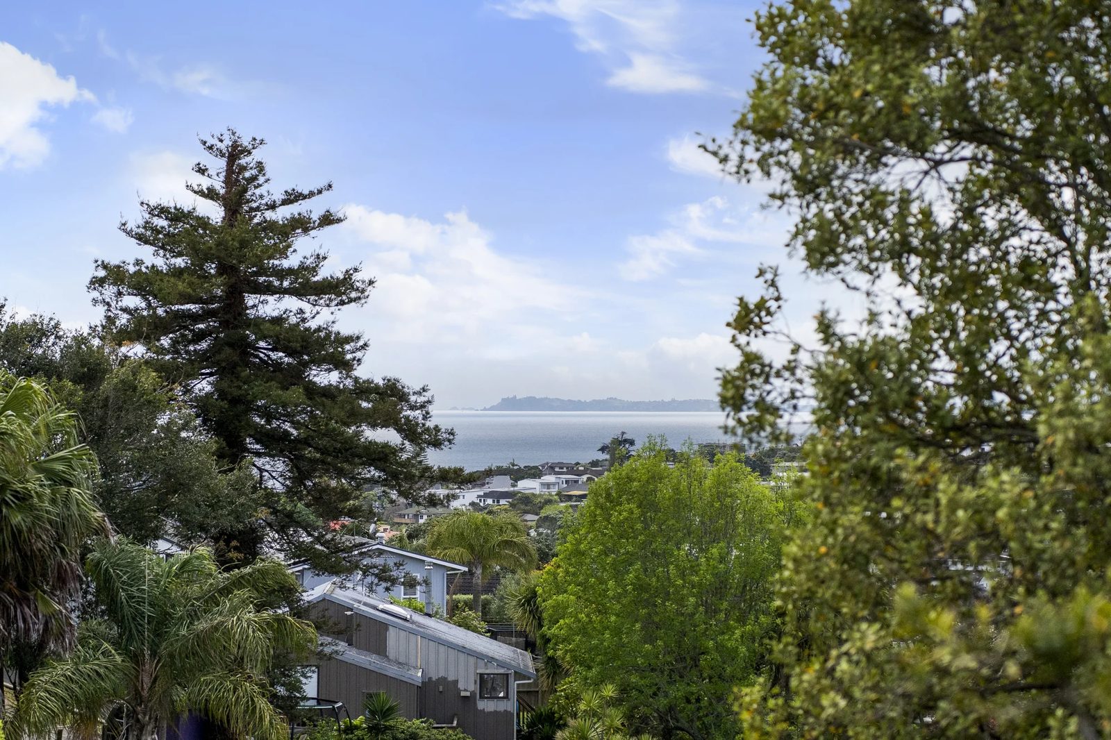 25 Coromandel Crescent, Mairangi Bay, photo 6