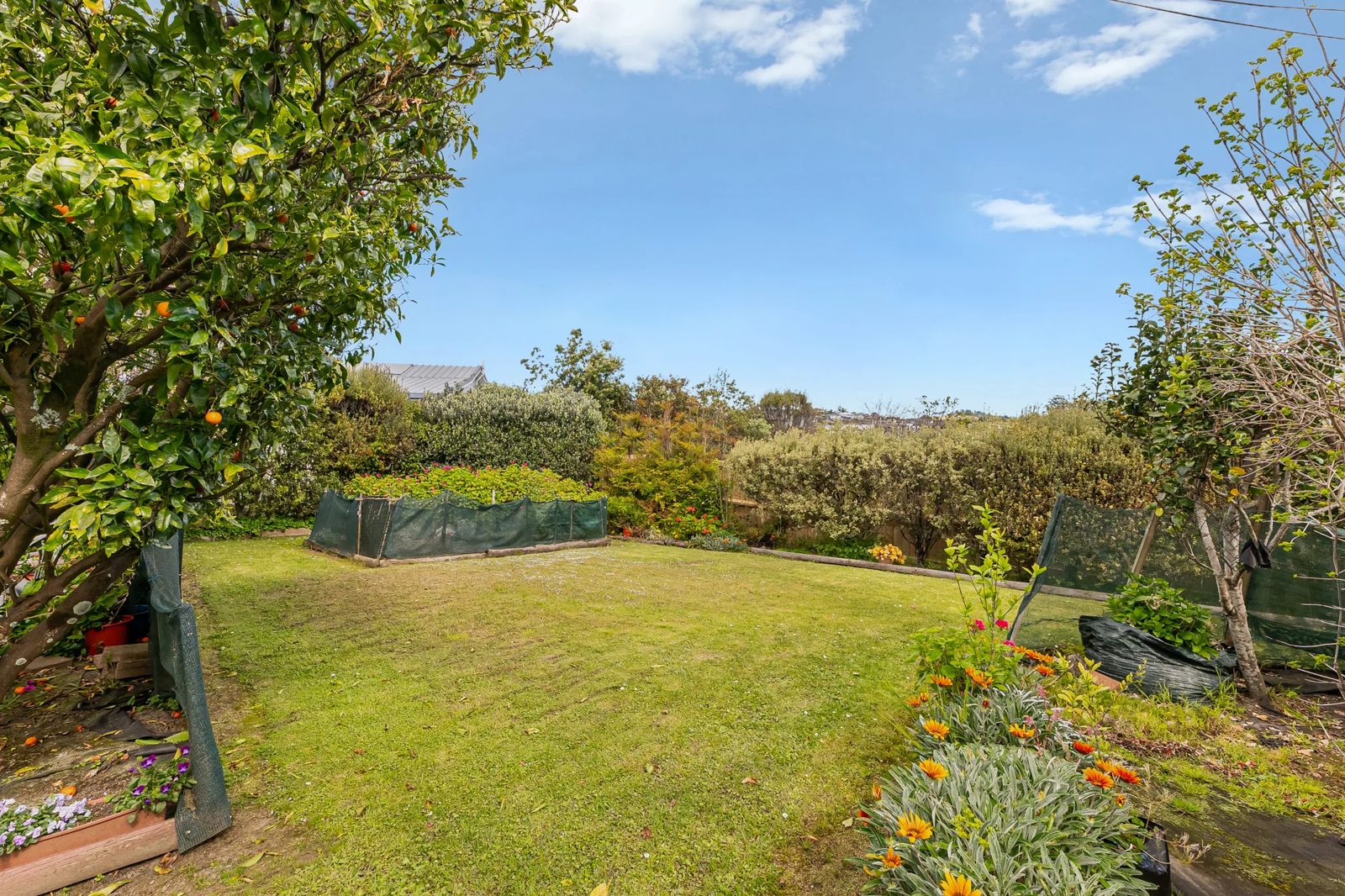 20 Fairway Avenue, Red Beach, photo 19