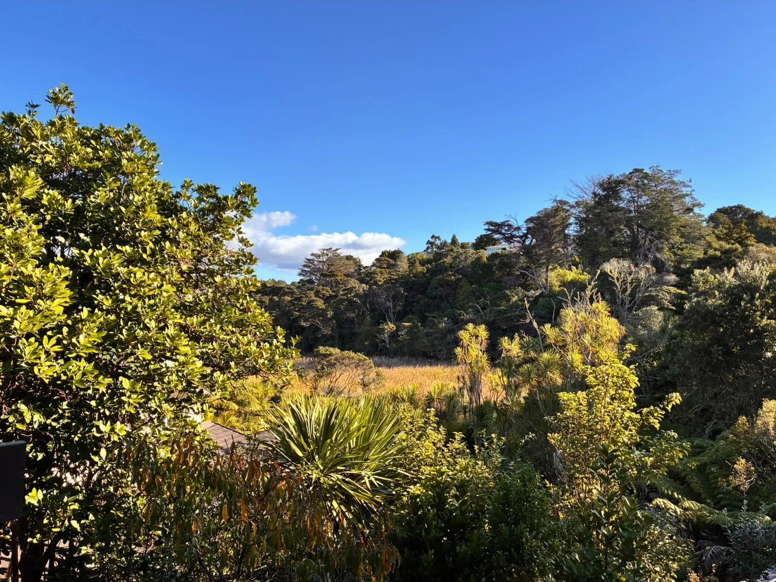 2/10 Wilding Avenue, Northcote Point, photo 11