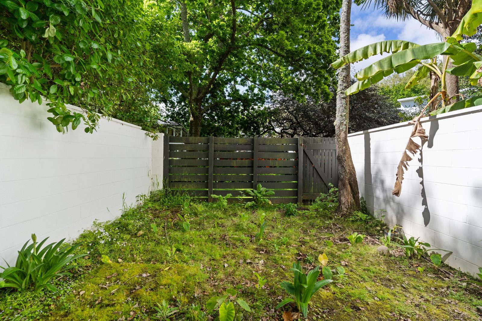 3/79 Beresford Street, Freemans Bay, photo 12
