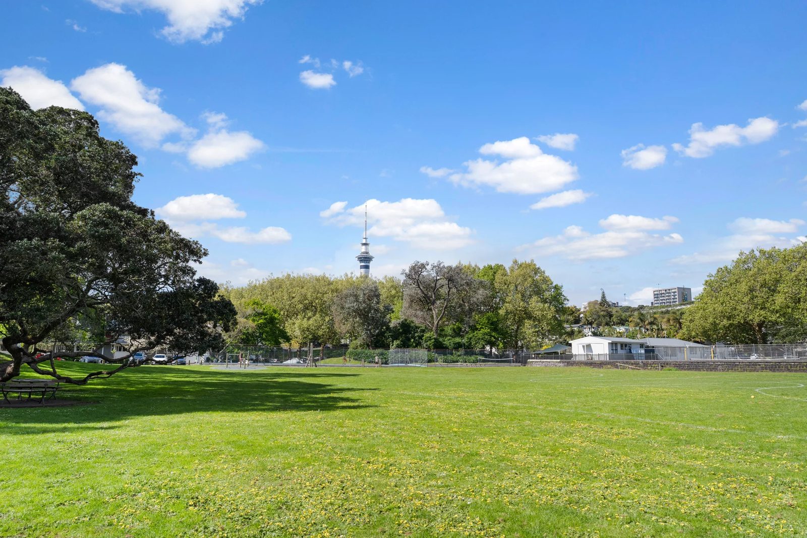 3/79 Beresford Street, Freemans Bay, photo 13