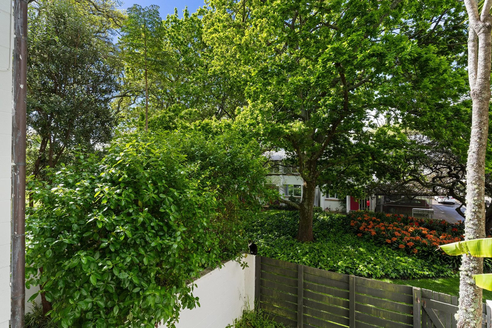 3/79 Beresford Street, Freemans Bay, photo 10