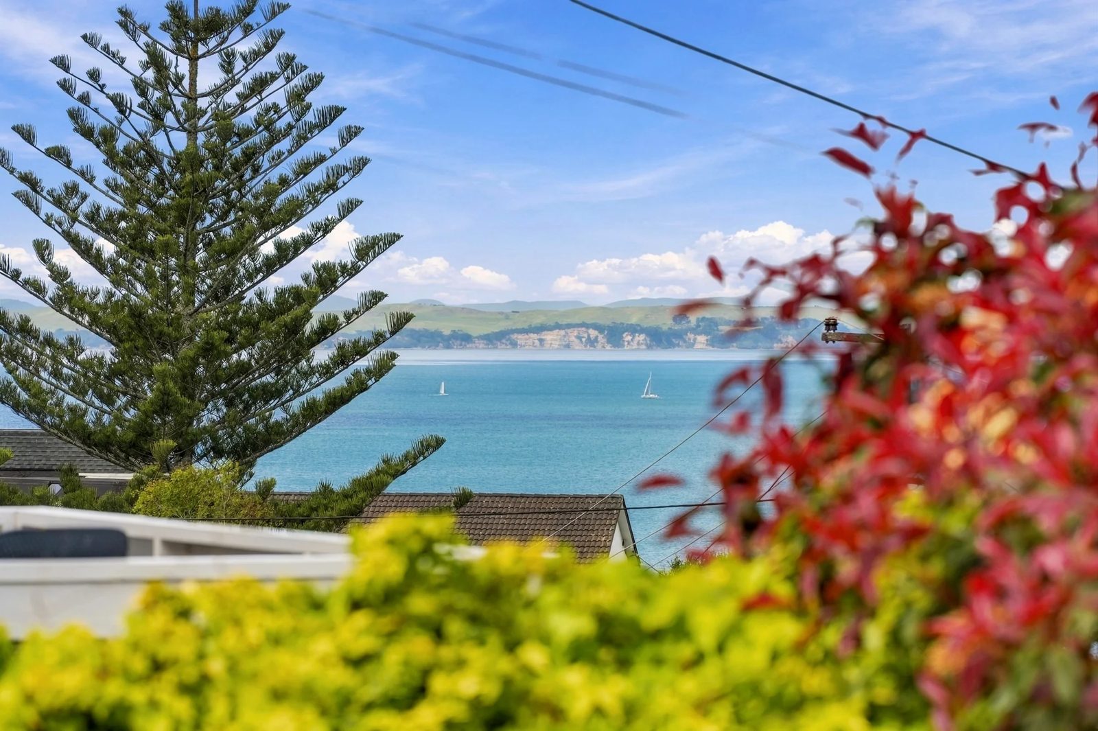 15 Carlisle Road, Torbay, photo 8