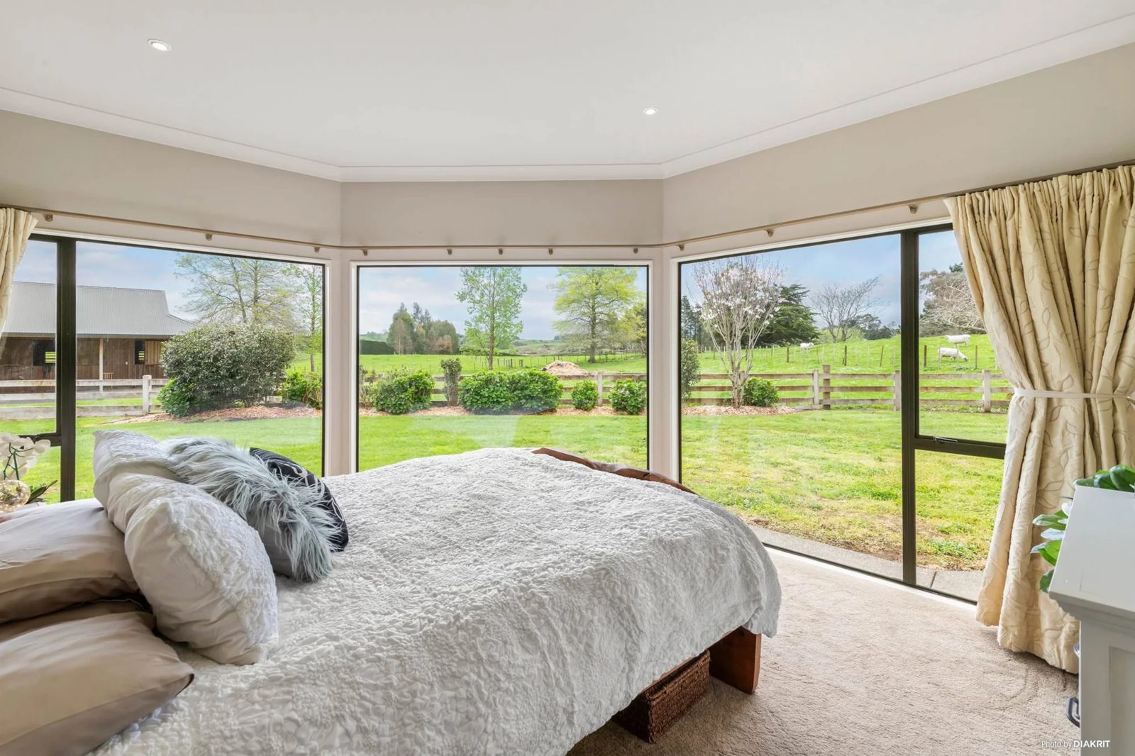 703 Runciman Road, Pukekohe East, photo 13