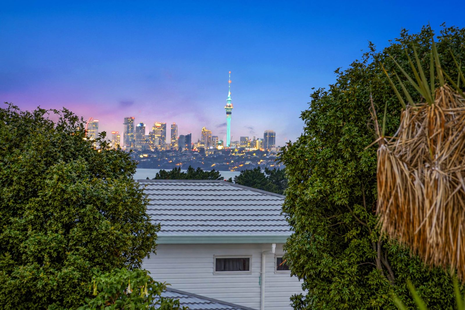 233 Royal Road, Massey, photo 2