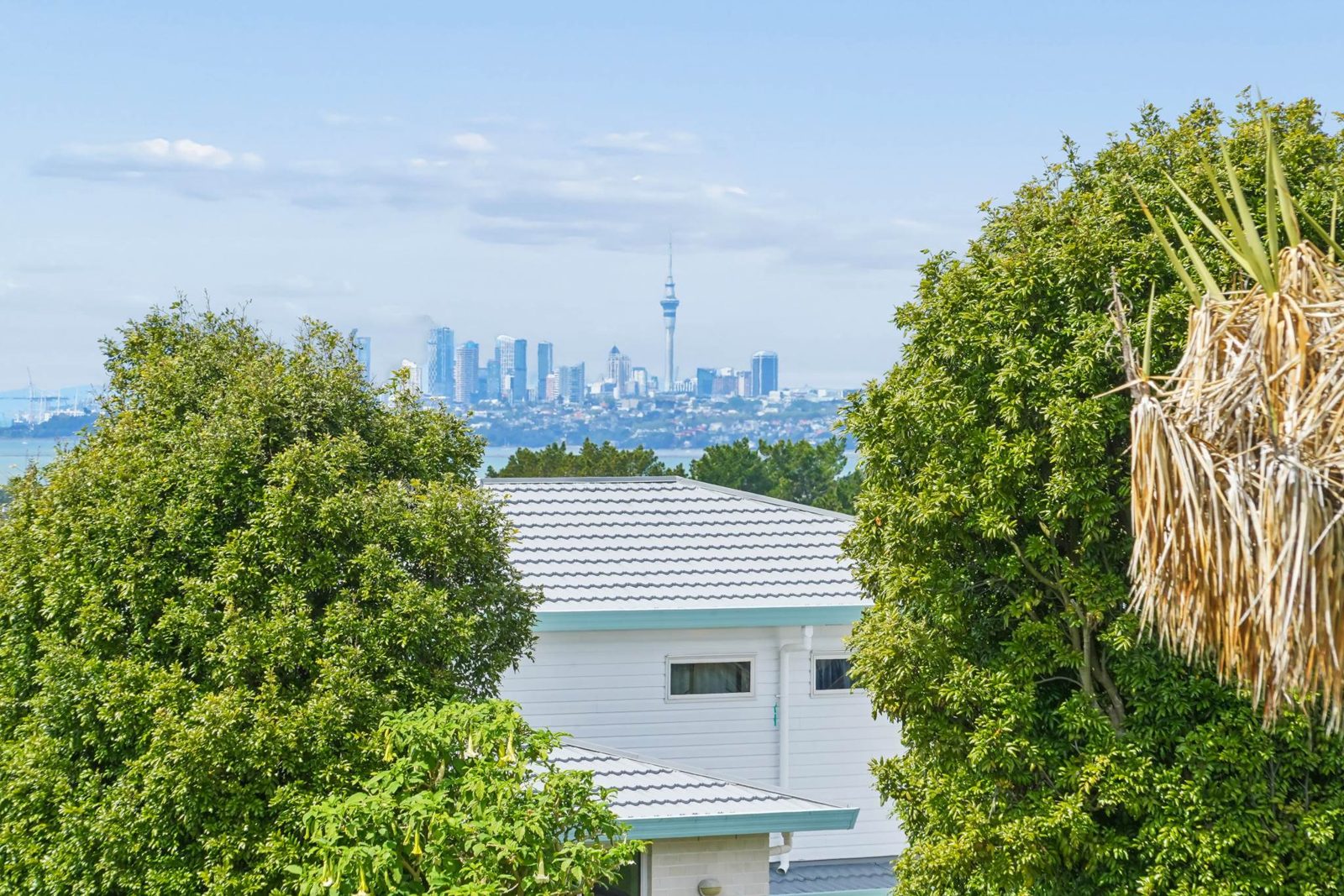 233 Royal Road, Massey, photo 8