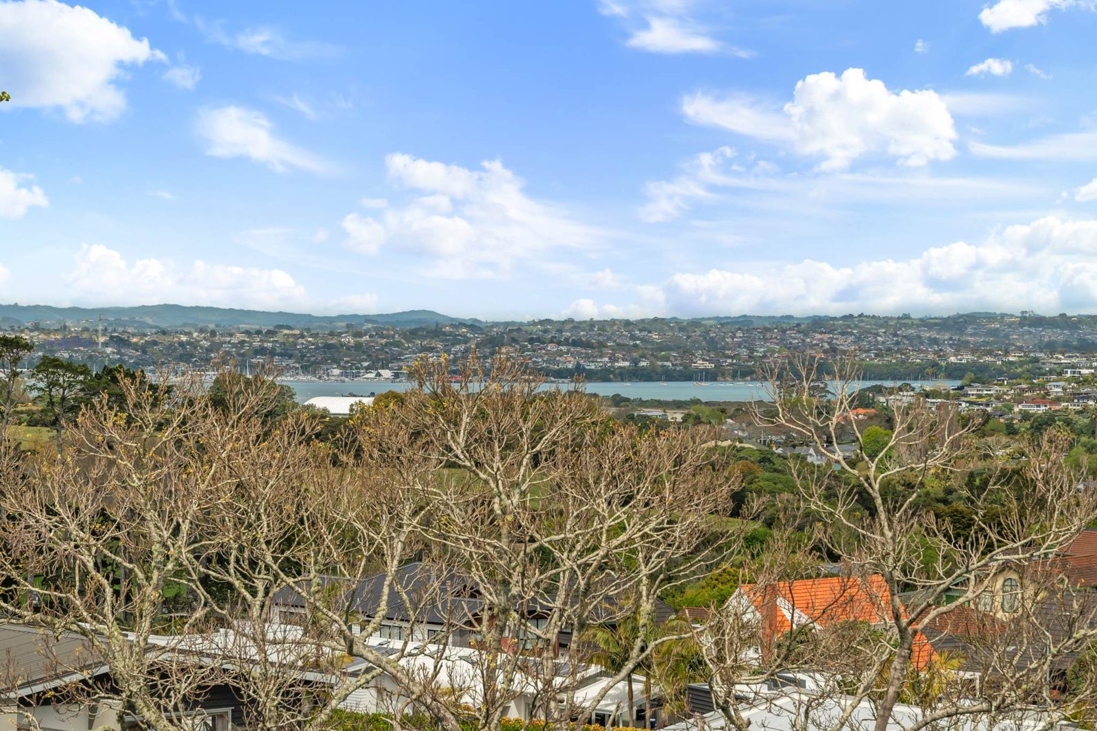 42A Waimarie Street, Saint Heliers, photo 6